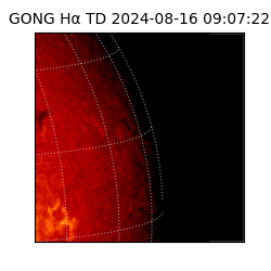 gong - 2024-08-16T09:07:22