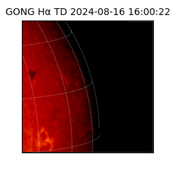 gong - 2024-08-16T16:00:22