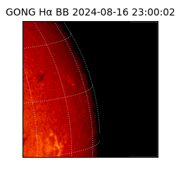 gong - 2024-08-16T23:00:02