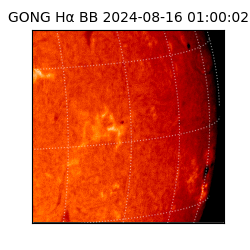 gong - 2024-08-16T01:00:02