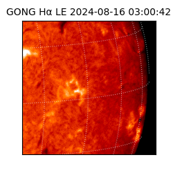 gong - 2024-08-16T03:00:42