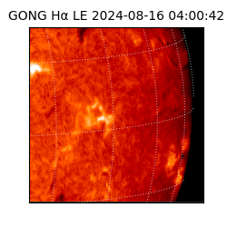 gong - 2024-08-16T04:00:42