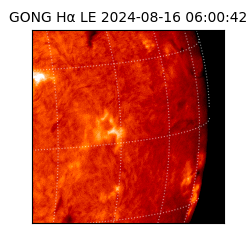 gong - 2024-08-16T06:00:42