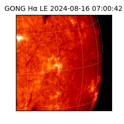 gong - 2024-08-16T07:00:42
