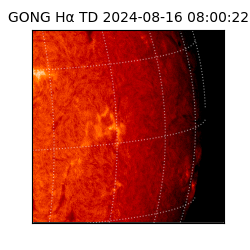 gong - 2024-08-16T08:00:22