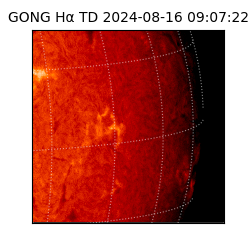 gong - 2024-08-16T09:07:22