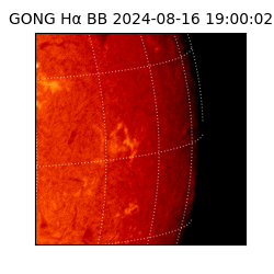 gong - 2024-08-16T19:00:02