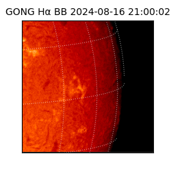 gong - 2024-08-16T21:00:02