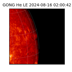 gong - 2024-08-16T02:00:42