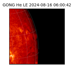 gong - 2024-08-16T06:00:42