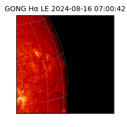 gong - 2024-08-16T07:00:42