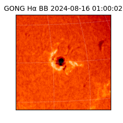 gong - 2024-08-16T01:00:02