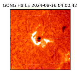 gong - 2024-08-16T04:00:42
