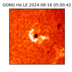 gong - 2024-08-16T05:00:42