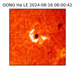gong - 2024-08-16T06:00:42