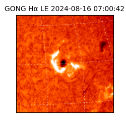 gong - 2024-08-16T07:00:42