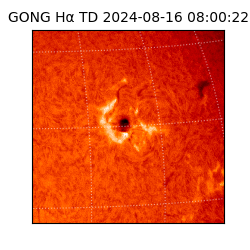 gong - 2024-08-16T08:00:22