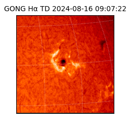 gong - 2024-08-16T09:07:22