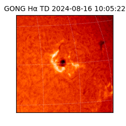 gong - 2024-08-16T10:05:22
