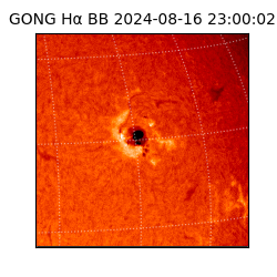 gong - 2024-08-16T23:00:02
