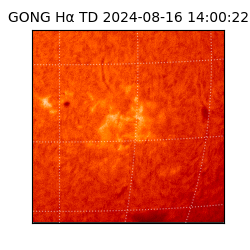gong - 2024-08-16T14:00:22