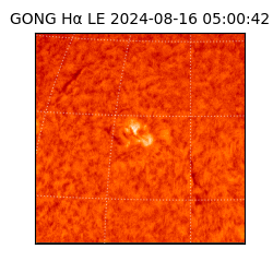 gong - 2024-08-16T05:00:42