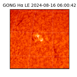 gong - 2024-08-16T06:00:42