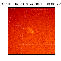 gong - 2024-08-16T08:00:22