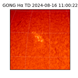 gong - 2024-08-16T11:00:22
