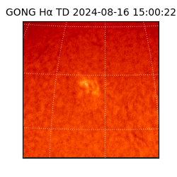 gong - 2024-08-16T15:00:22