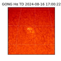 gong - 2024-08-16T17:00:22