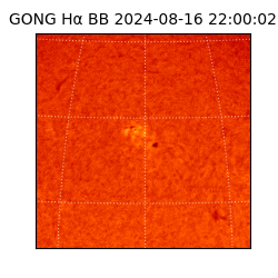 gong - 2024-08-16T22:00:02
