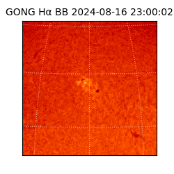 gong - 2024-08-16T23:00:02