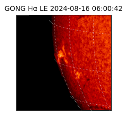 gong - 2024-08-16T06:00:42