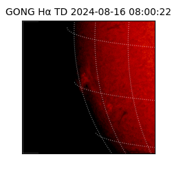 gong - 2024-08-16T08:00:22
