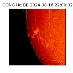 gong - 2024-08-16T22:00:02