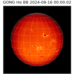 gong - 2024-08-16T00:00:02