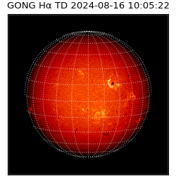 gong - 2024-08-16T10:05:22