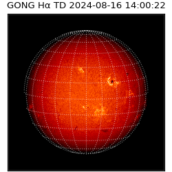 gong - 2024-08-16T14:00:22