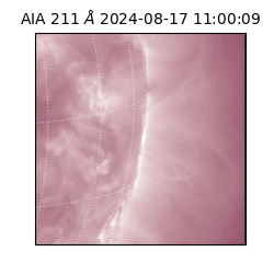 saia - 2024-08-17T11:00:09.632000