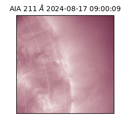 saia - 2024-08-17T09:00:09.632000