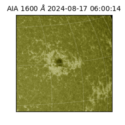 saia - 2024-08-17T06:00:14.133000