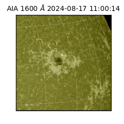 saia - 2024-08-17T11:00:14.129000