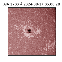 saia - 2024-08-17T06:00:28.721000