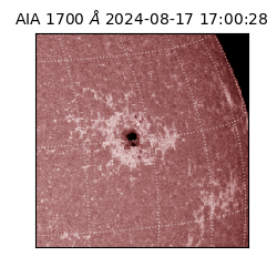 saia - 2024-08-17T17:00:28.718000