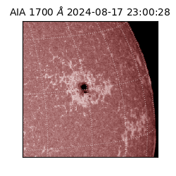saia - 2024-08-17T23:00:28.717000