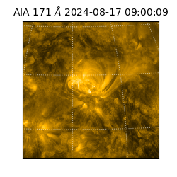 saia - 2024-08-17T09:00:09.350000