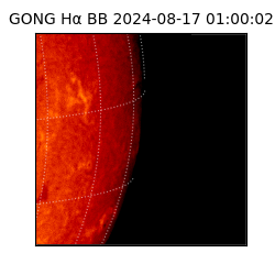 gong - 2024-08-17T01:00:02