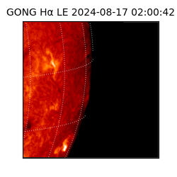 gong - 2024-08-17T02:00:42