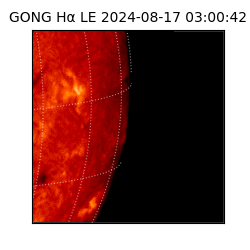 gong - 2024-08-17T03:00:42